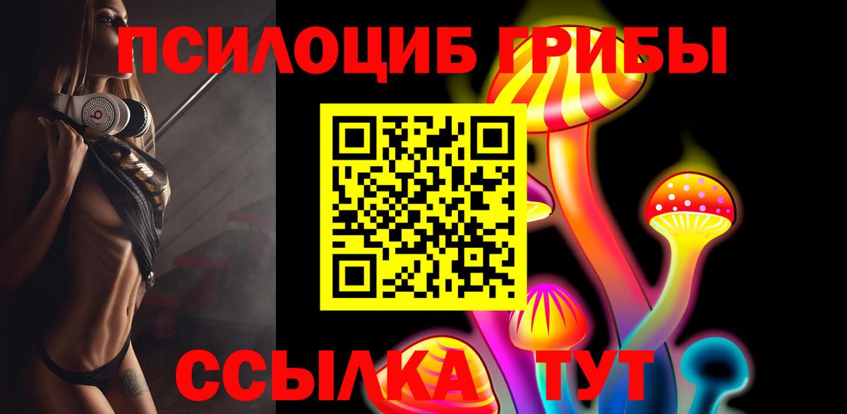 Надым  наркотики  Вход с VPN  Псилоцибиновые грибы мухоморы 
